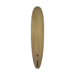 Firewire Wingnut Noserider 9´0