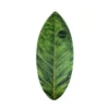 HW-Shapes Hybridskim Skimleaf Skimboard